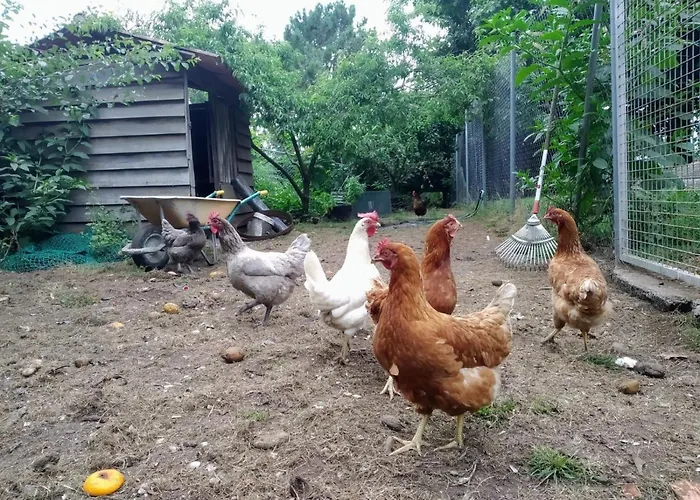 Tana, Casa Compartida Homestay szállás *